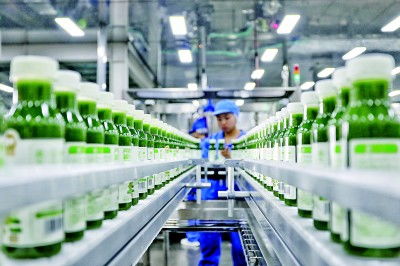 山東智繪藍(lán)圖 畜牧漁業(yè)飼料銷售動(dòng)能澎湃