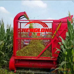 現(xiàn)代農(nóng)業(yè)的得力助手 青貯飼料回收機(jī)與汽車裝飾用品的跨界市場洞察