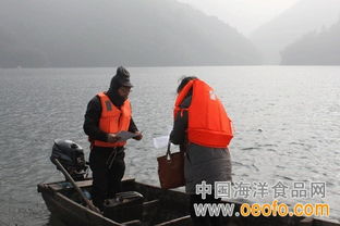 江山市多措并舉筑牢節(jié)前安全防線，守護(hù)漁業(yè)生產(chǎn)與市場質(zhì)量雙安全